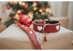 Κολλάρο Σκύλου Hunter Love S/M 35-43 cm Κόκκινο