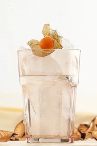 Glass Set (6 Pieces) LV-ARA265F Transparent