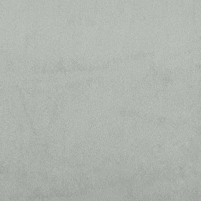 vidaXL Πολυθρόνα Ανοιχτό Γκρι 63 x 76 x 80 εκ. Βελούδινη