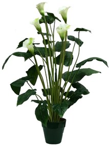 MarHome ΔΕΝΤΡΟ ΚΑΛΛΑΣ ΣΕ ΓΛΑΣΤΡΑ Y95cm. 4/KIB  04-77068