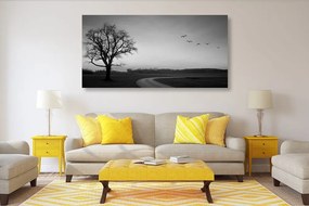 Εικόνα ενός γοητευτικού δέντρου σε ασπρόμαυρο - 120x60
