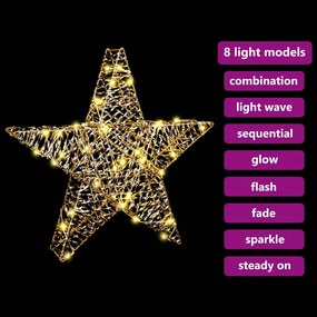 vidaXL 3D Αστέρι με 50 LED Θερμό λευκό 55 x 52.5 x 9 εκ PET