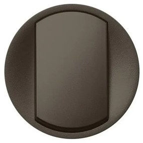 Πλακίδιο Διπολικού Διακόπτη Graphite Celiane 067921 Legrand-67921-Ανθρακί 067921