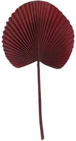 Τεχνητό Φύλλο Φοίνικα Licuala 4271-7 52cm Bordo Supergreens Πολυαιθυλένιο
