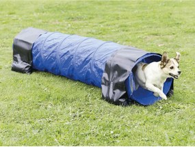 Παιχνίδι τούνελ Trixie