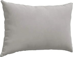 vidaXL Μαξιλάρι Καναπέ 2 pcs Ανοιχτό γκρι 60 x 40 cm ύφασμα