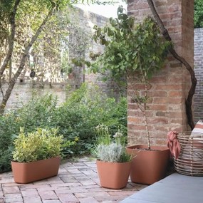 Βάζο Λουλουδιών Deroma