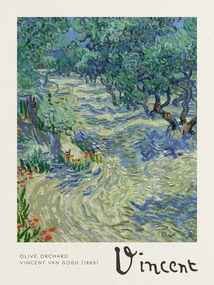 Αναπαραγωγή Olive Orchard - Vincent van Gogh