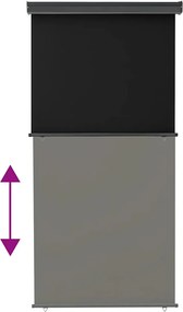 vidaXL Σκίαστρο Βεράντας Πλαϊνό Μαύρο 125 x 250 εκ.