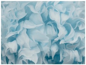 Φωτοταπετσαρία - Azalea (blue) 300x231