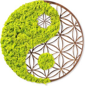 Decorative Wall Accessory Yin Yang Green
Brown