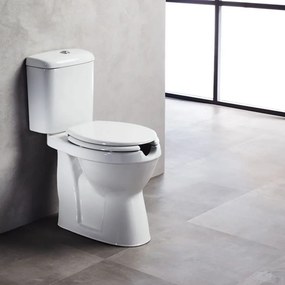 Tema Eco EC3100 - Λεκάνη ΑΜΕΑ Πισωστόμια