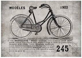 Φωτοταπετσαρία - Bicycle (Vintage) 300x210