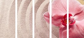 Εικόνα 5 μερών περισσότερη άμμος και ροζ ορχιδέα - 200x100