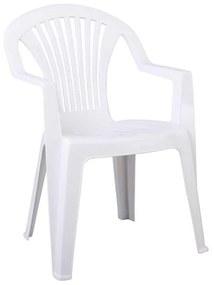 ΚΑΡΕΚΛΑ ΠΛΑΣΤΙΚΗ Lido E327-8 58x57x81cm
