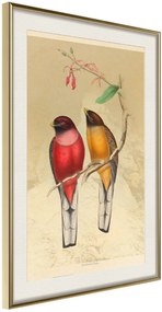 Αφίσα - Ornithologist's Drawings - 40x60 - Χρυσό - Με πασπαρτού