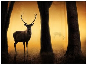 Φωτοταπετσαρία - Deer in his natural habitat 300x231