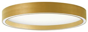 Φωτιστικό Πλαφονιέρα LED Viokef Vanessa Gold 4292701