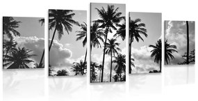 Εικόνα 5 τμημάτων καρύδας στην παραλία σε μαύρο & άσπρο - 100x50