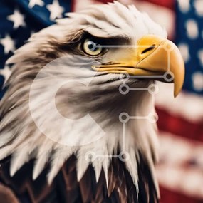 Intra Συλλεκτικό Ξύλινο Παζλ Plywood 4mm - Κοντινό πλάνο του αετού με την αμερικανική σημαία Σε Ξύλινο Κουτί - Διαστάσεις: 10x10 cm – 25 κομμάτια
