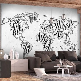 Αυτοκόλλητη φωτοταπετσαρία - Retro Continents (Grey) - 245x175