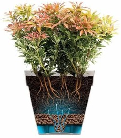 Βάζο Λουλουδιών Elho