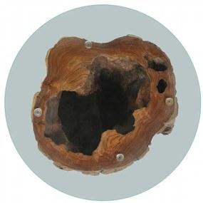 vidaXL Τραπεζάκι Σαλονιού 50 x 40 εκ. από Ξύλο Teak / Γυαλί