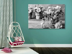 Εικόνα ρομαντικού γαρύφαλλου σε vintage πινελιά σε ασπρόμαυρο σχέδιο - 60x40