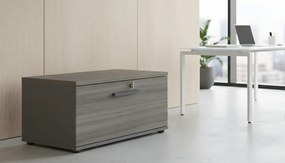 Ντουλάπι Treasury-Kafe Skouro