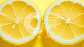 Σετ των 2 Intra Συλλεκτικό Ξύλινο Παζλ Plywood 4mm - Δικομμένα λεμόνια σε κίτρινο φόντο Σε Ξύλινο Κουτί - Διαστάσεις: 10x10 cm – 25 κομμάτια