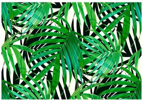 Φωτοταπετσαρία - Tropical Leaves 350x245