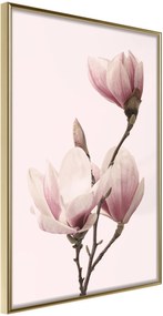 Αφίσα - Blooming Magnolias III - 30x45 - Χρυσό - Χωρίς πασπαρτού