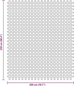 vidaXL Χαλί Σκηνής Ανθρακί 2,5x2 μ.