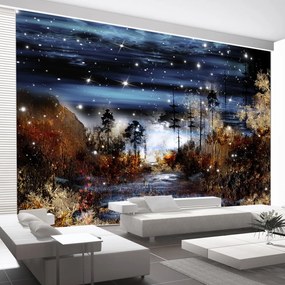 Φωτοταπετσαρία - Magical forest 350x245