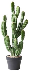Τεχνητό Φυτό Εφόρμπια 1201-6 67cm Green Supergreens Polyethylene