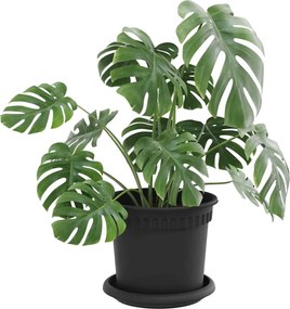 vidaXL Γλάστρες φυτών 24 pcs Μαύρο Ø 15 x 12 cm Πλαστικό