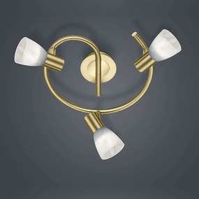 Φωτιστικό Οροφής-Σποτ Led Levisto 3x400Lm 21x30cm Brass Mat 871090308 Trio Lighting Metal, Glass