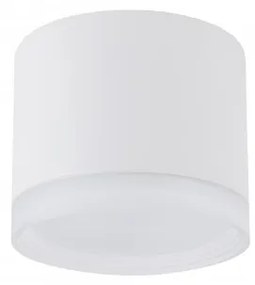 Σποτ Φωτιστικό Οροφής 1xGX53 Downlight Silba Nowodvorski 10476 Λευκό