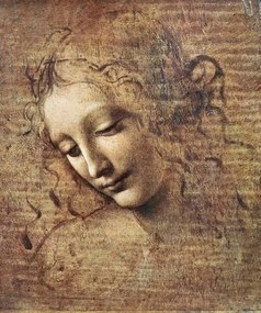 Leonardo da Vinci - Αναπαραγωγή Leonardo da Vinci - Head of a Young Woman, (35 x 40 cm)