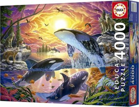 Παζλ Educa Orcas y Lobos 4000 Τεμάχια