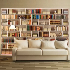 Αυτοκόλλητη φωτοταπετσαρία - Home library - 294x210