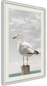 Αφίσα - Curious Seagull - 40x60 - Χρυσό - Με πασπαρτού