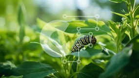 Intra Συλλεκτικό Ξύλινο Παζλ Plywood  4mm - Μαύρη και κίτρινη κάμπια στα πράσινα φύλλα στο δάσος Σε Ξύλινο Κουτί - Διαστάσεις: 10x10 cm – 25 κομμάτια