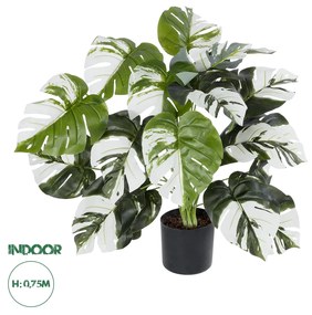 GloboStar® Artificial Garden ALBINO MONSTERA 20925 Διακοσμητικό Φυτό Λευκή Μονστέρα Υ75cm