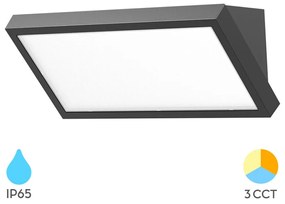 Φωτιστικό Επίτοιχο Braytron BG37-00582 Γκρι (Grey) CCT3