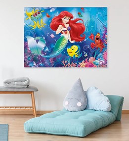 Παιδικός πίνακας σε καμβά Ariel KNV0572 30cm x 40cm