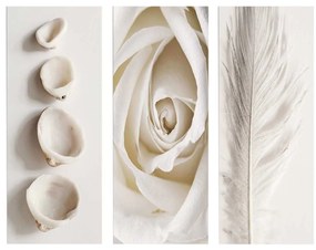 ΠΙΝΑΚΑΣ ΤΡΙΠΤΥΧΟ MDF NATURAL ELEMENTS HM7204.05 60X0,3X50 εκ.