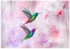 Φωτοταπετσαρία - Colourful Hummingbirds (Purple) 300x210