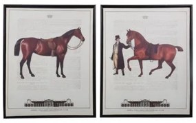 ΚΑΔΡΟ BROWN HORSE 1/2 40*50 555 373-92-035 - 2 ΤΕΜΑΧΙΑ