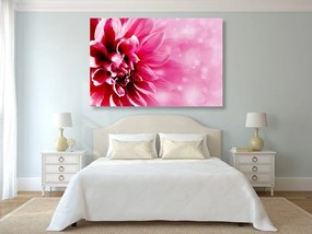Εικόνα ροζ λουλούδι